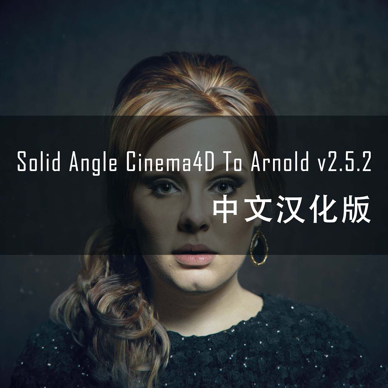 阿诺德渲染器Arnold 2.5.2汉化PJ版
